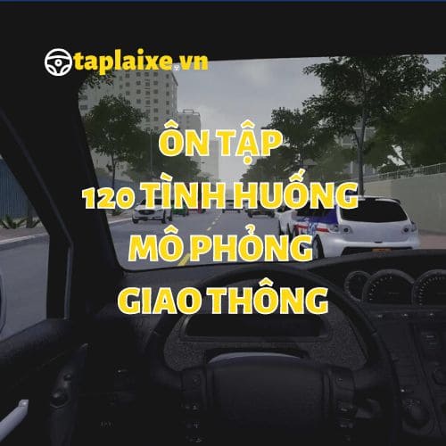 Ôn tập 120 câu hỏi tình huống mô phỏng online