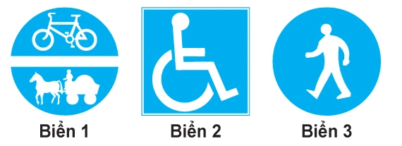 câu hỏi thi lái xe ô tô